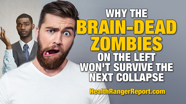Why the brain-dead zombies on the left won’t survive the next collapse