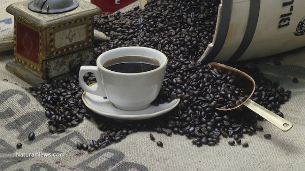 Used coffee grounds can help filter contaminated water