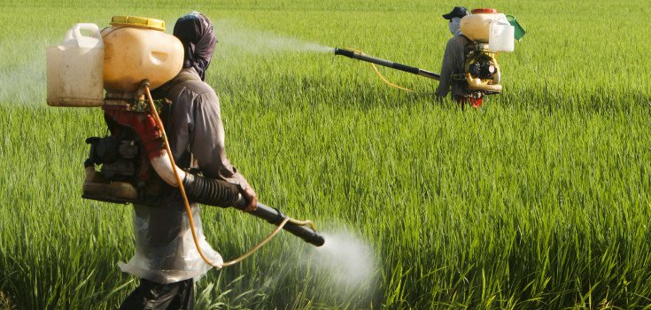 WAKE UP: 93% of Americans have glyphosate in their system