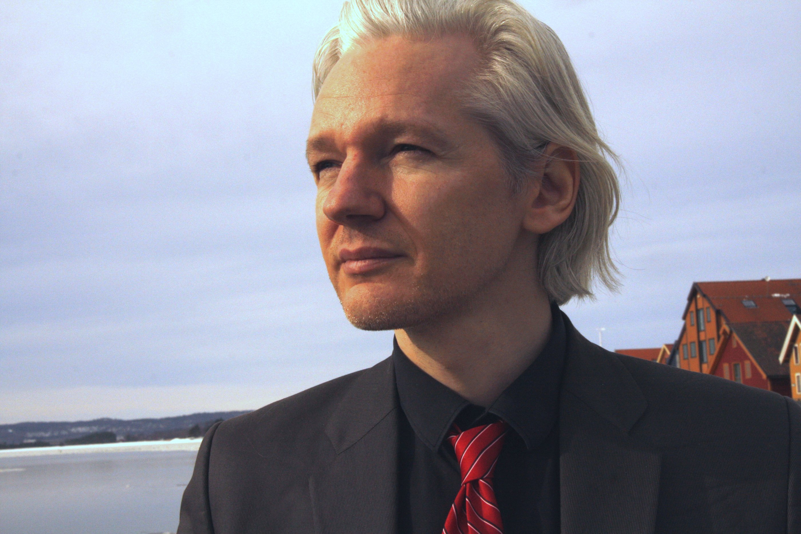 Did an assassin try to kill Wikileaks founder Julian Assange?