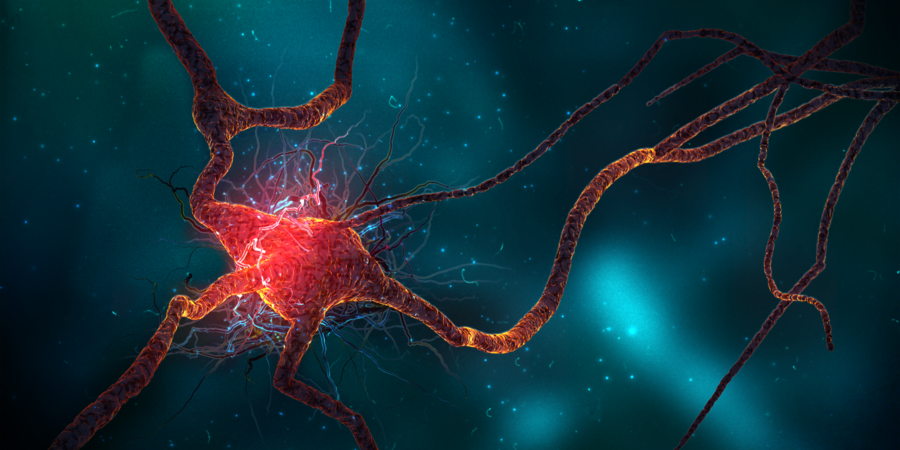 5 ways to naturally spur neurogenesis – improve cognition through newly produced brain cells