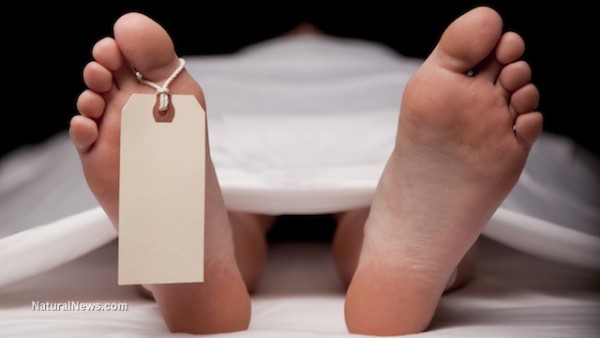 Life after death ‘confirmed’ by scientists
