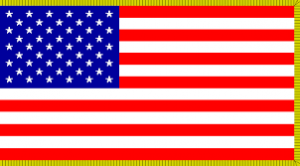 gold fringed flag