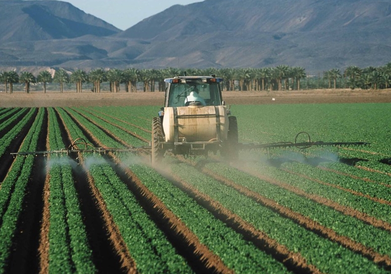 Regulatory agencies rubber-stamp more GMOs despite pesticide contamination in our food and everyday products