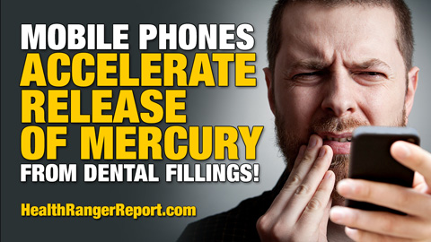 Electromagnetic fields from mobile phones accelerate mercury release from dental fillings