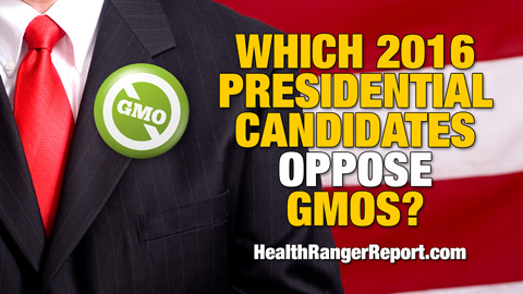 Which 2016 presidential candidates oppose GMOs? (Audio)