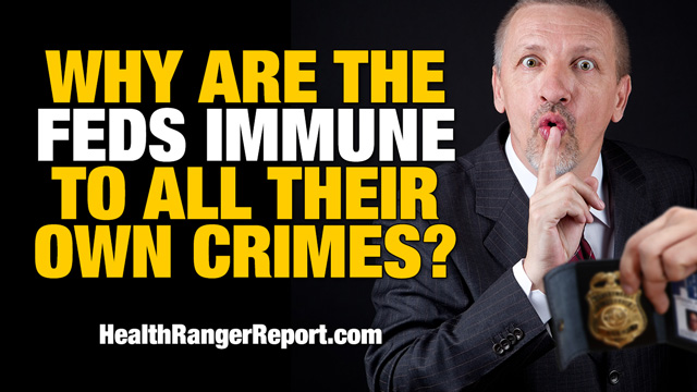 Why are the feds immune to all their own crimes?