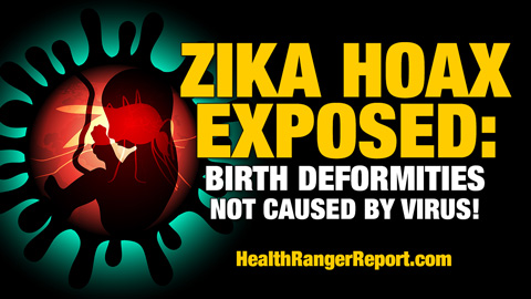 Zika HOAX exposed: Birth deformities not caused by virus! (Audio)