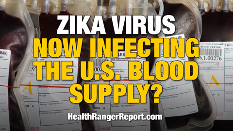 Zika virus now infecting the U.S. blood supply?
