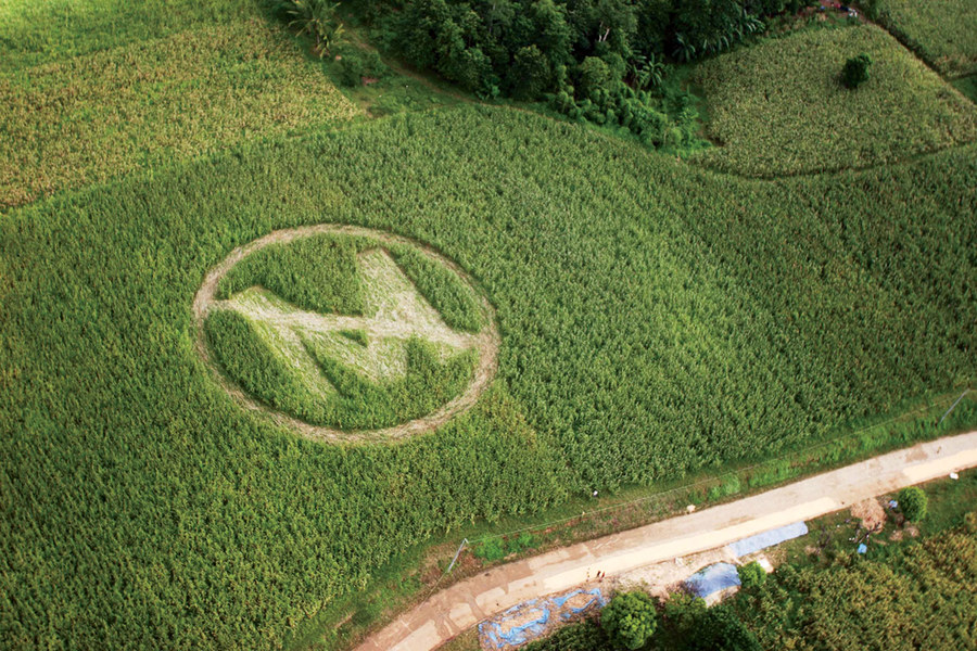 World Wildlife Fund falls prey to Monsanto’s ‘greenwashing’ tactics, agrees to support conversion of Amazon into GMO plantation