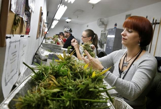 Jobs available in the marijuana industry