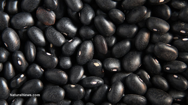 Discover the health benefits of black beans