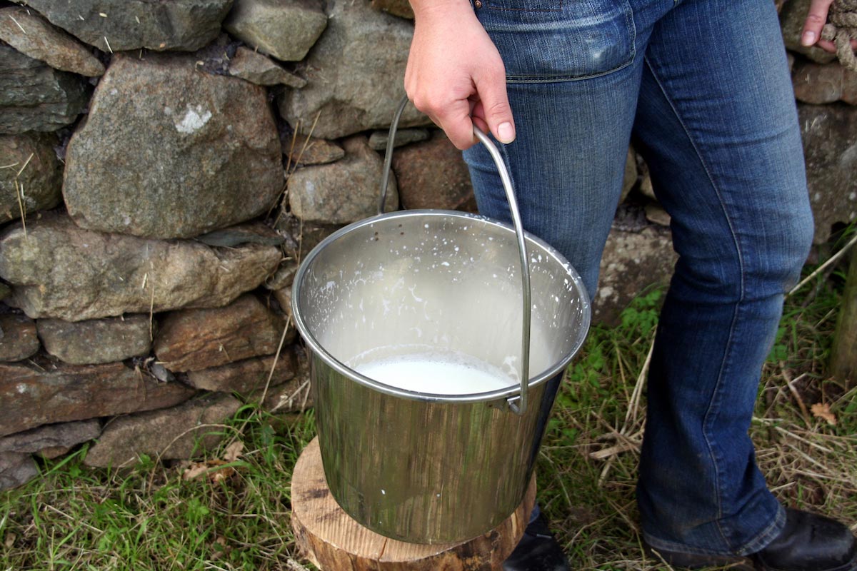 Raw milk vending machines are now popping up all over Europe