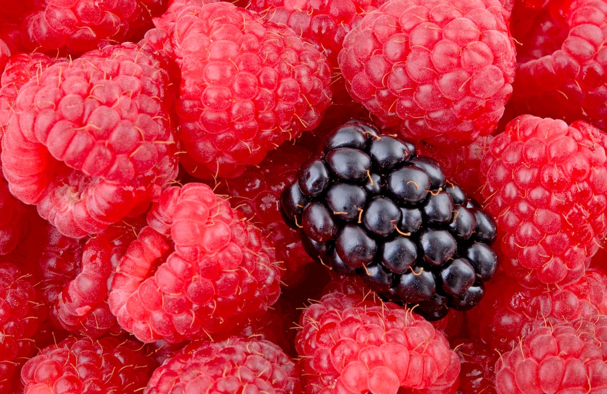 Try your hand at growing delicious, healthful blackberries