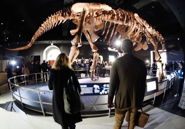Titanosaur: World’s largest dinosaur skeleton to ever be unveiled at American Museum of Natural History
