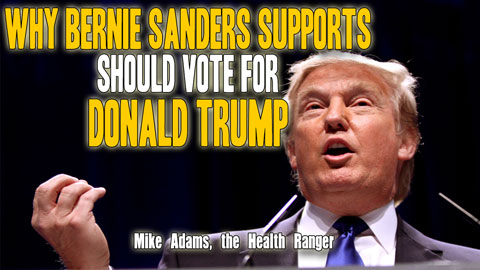 Why Bernie Sanders supporters should vote for Donald Trump (Audio)