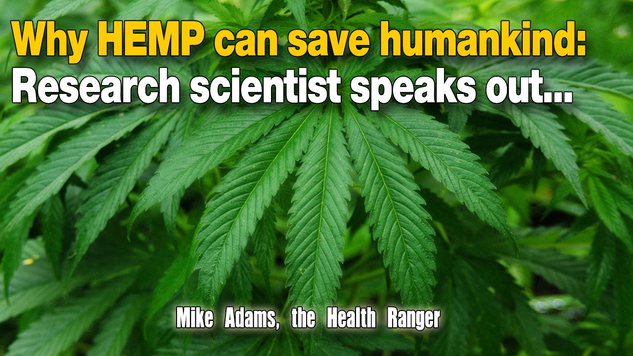 Why HEMP can save humankind: Research scientist speaks out… (Audio)