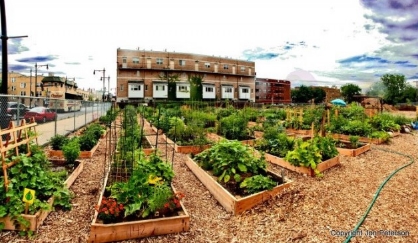 How organic gardens aren’t just healthier, they save you money too
