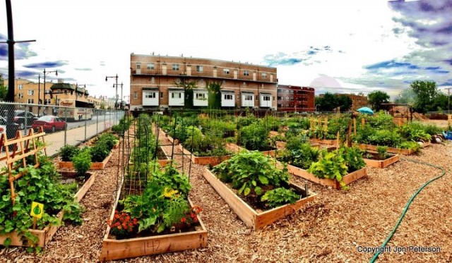 Turn that small tract of land into a food producing behemoth