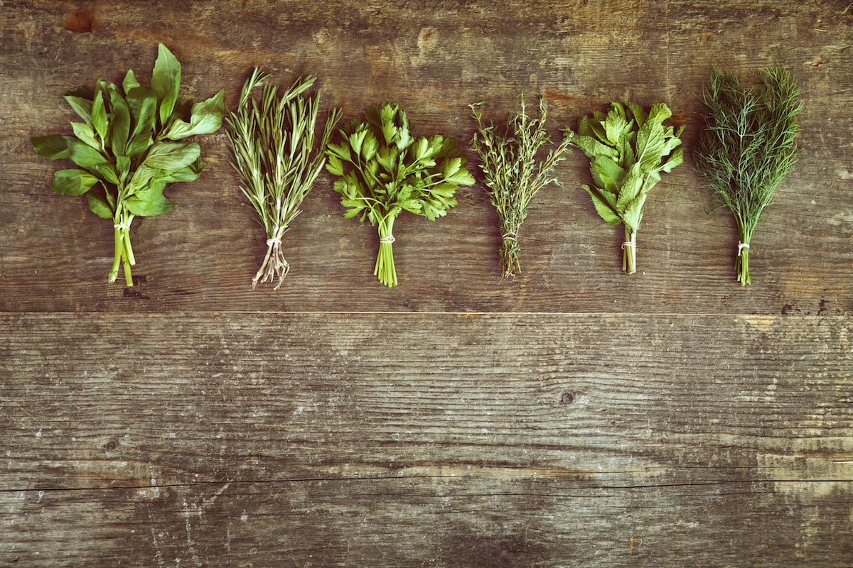 What you’ll need to start your very own herb garden any time of the year