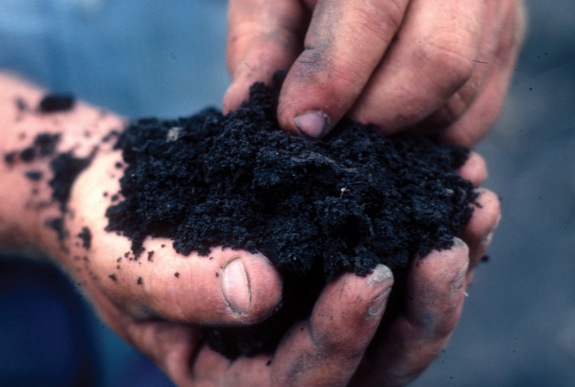 This no-till gardening method will help you ‘feed’ your soil