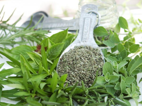 Oregano oil inhibits cancer growth, removes warts and more