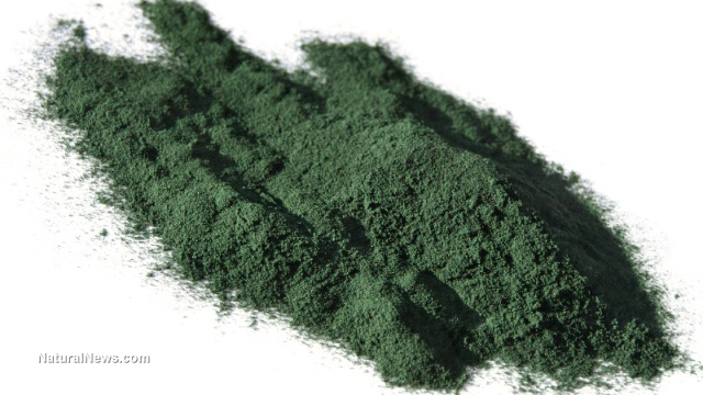 10 reasons why taking spirulina daily is vital to your overall health