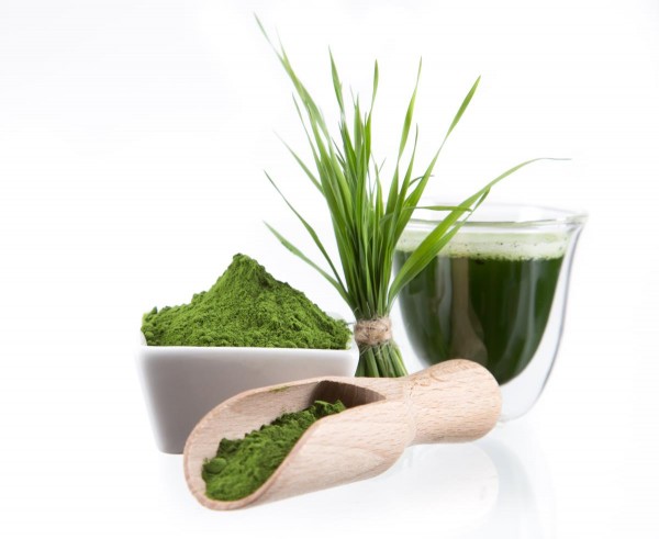 Wheatgrass heals 74-year-old man with cancer, after doctors give him only weeks to live