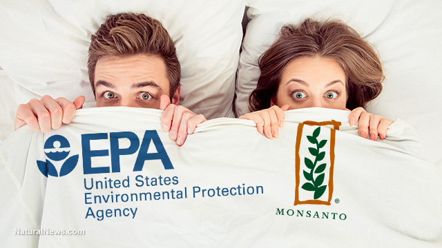 EPA protected Monsanto’s corporate profits by hiding the truth about glyphosate and cancer for decades