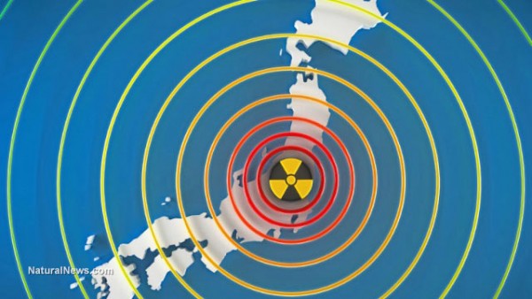 Amazing earthquake video animation shows total stupidity of building nuclear power plants near known fault lines