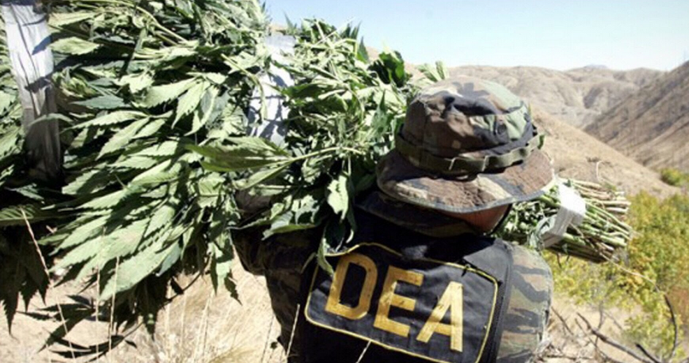 Deadliest drugs are still legal in the US as pot prohibition continues