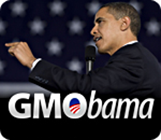 Obama’s new policy registration may very well have ended all non-GMO agriculture in the US