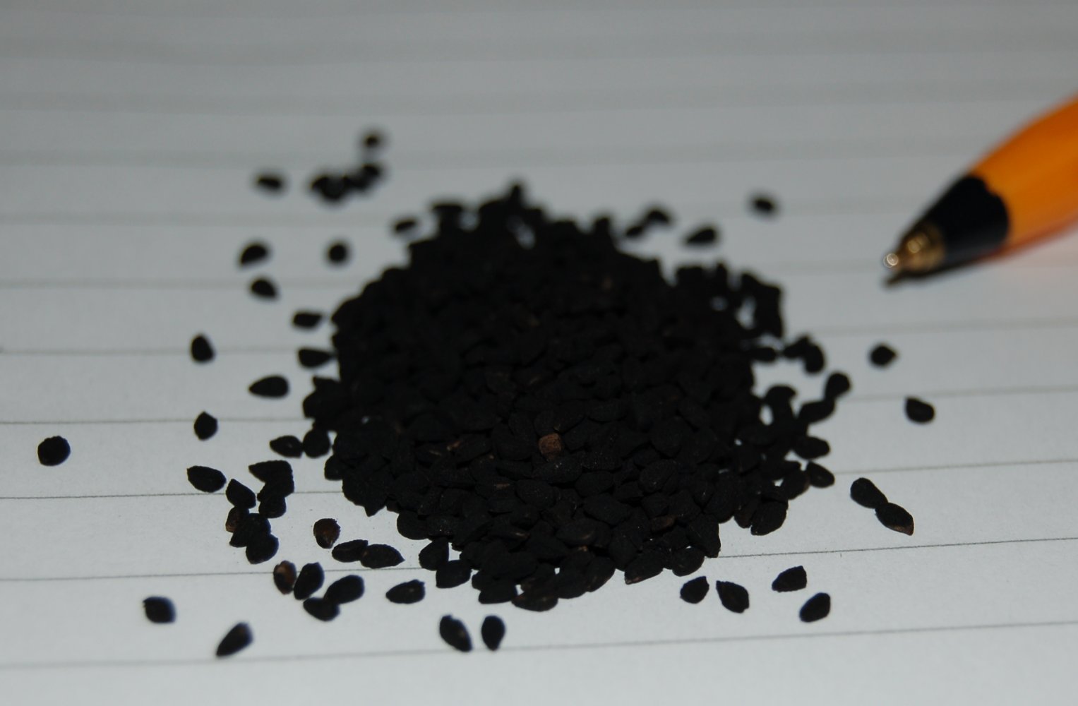 Curious Black Seed Oil Cures ‘Everything But Death’