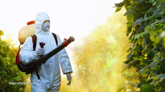 Report: Pesticide poisoning has resulted in 200,000 deaths