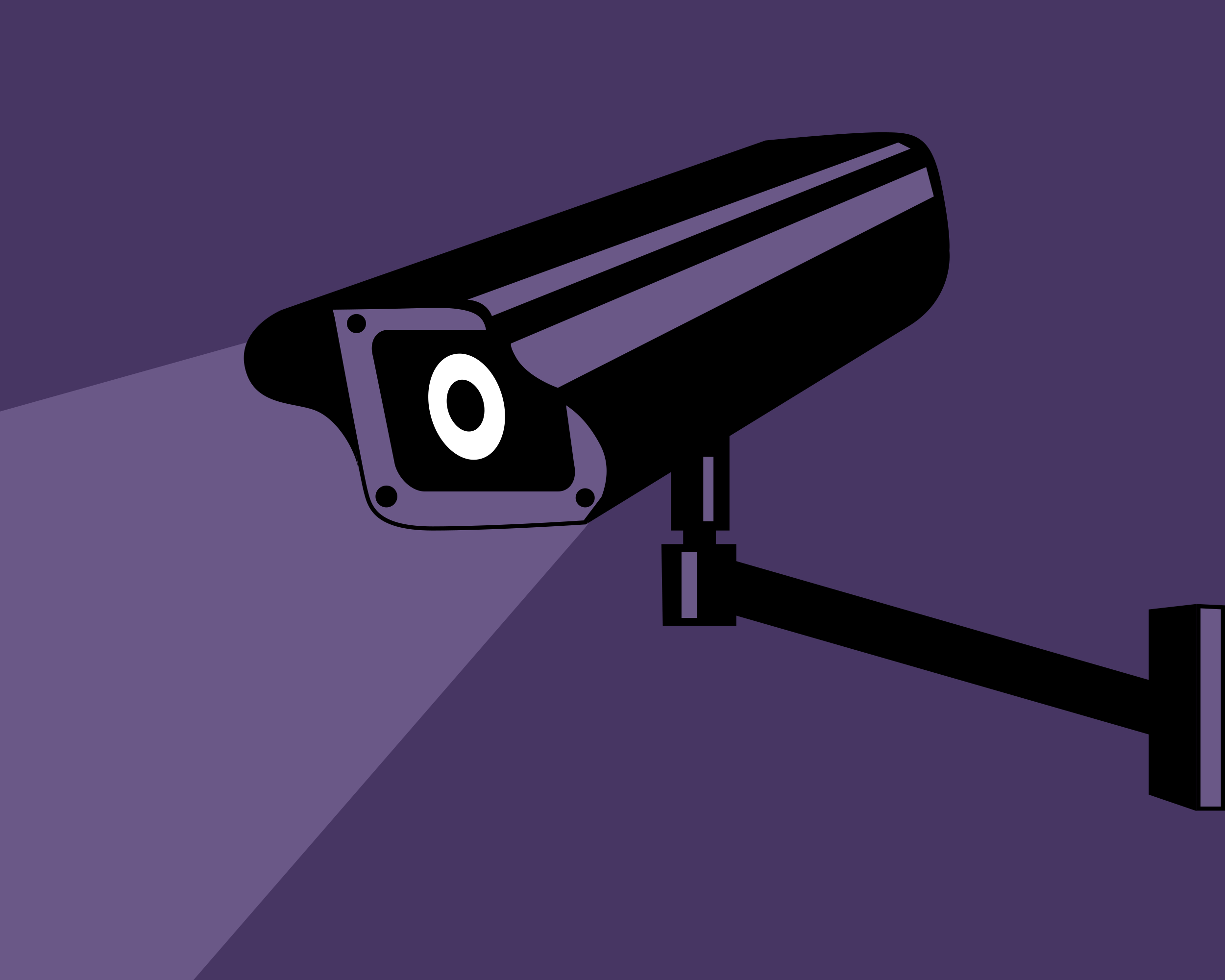 New computer game trains you to spy on citizens – just like the government
