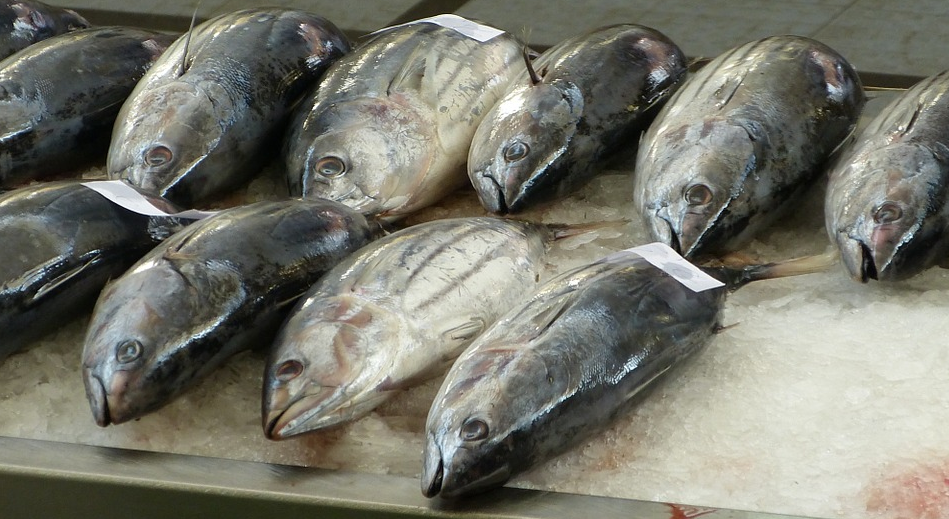 Contaminated seafood from China is flooding the United States, are you safe?