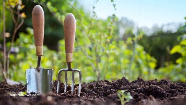 How gardening has actually become an act of defiance against our oppressive political system