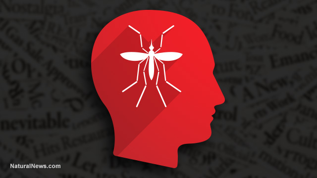 Zika Propaganda Is a ‘Virus of the Mind’ Rooted in Fabricated Hysteria, Government Junk Science and Dark Political Agendas