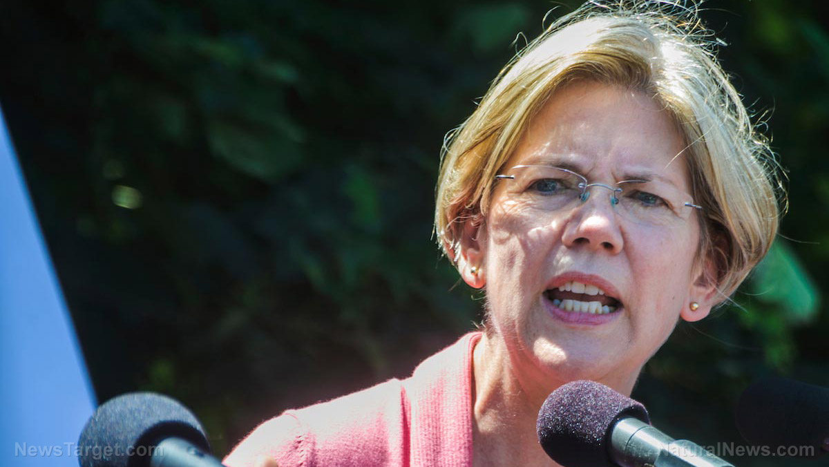 Elizabeth Warren pushing for government-run health care system to “solve” the problem of government-run health care systems