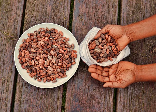 People are using cacao to get high… here’s the chemical that makes it happen