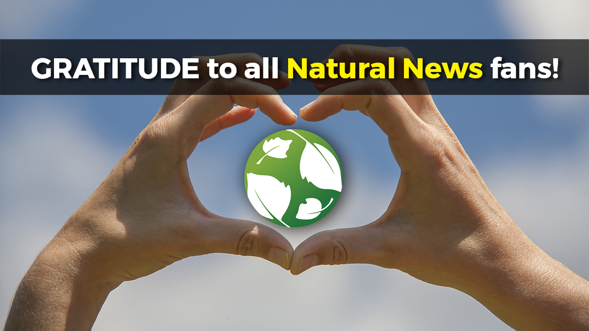 Content Note: Find all natural health and medicine articles at Natural.News, without any commentary on school shootings (or other political topics)