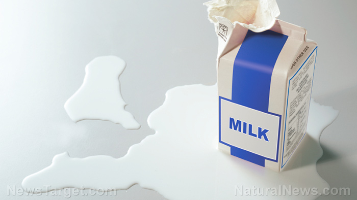 Processed milk is dangerous for your health