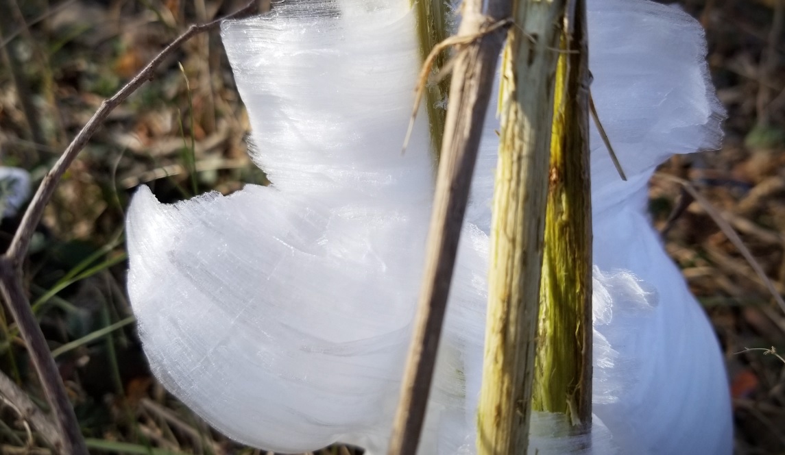 Weird “vortex ice” captured on camera by the Health Ranger