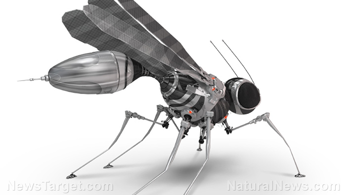 Micro aerial vehicles now able to find their way back more quickly, much like a flying insect