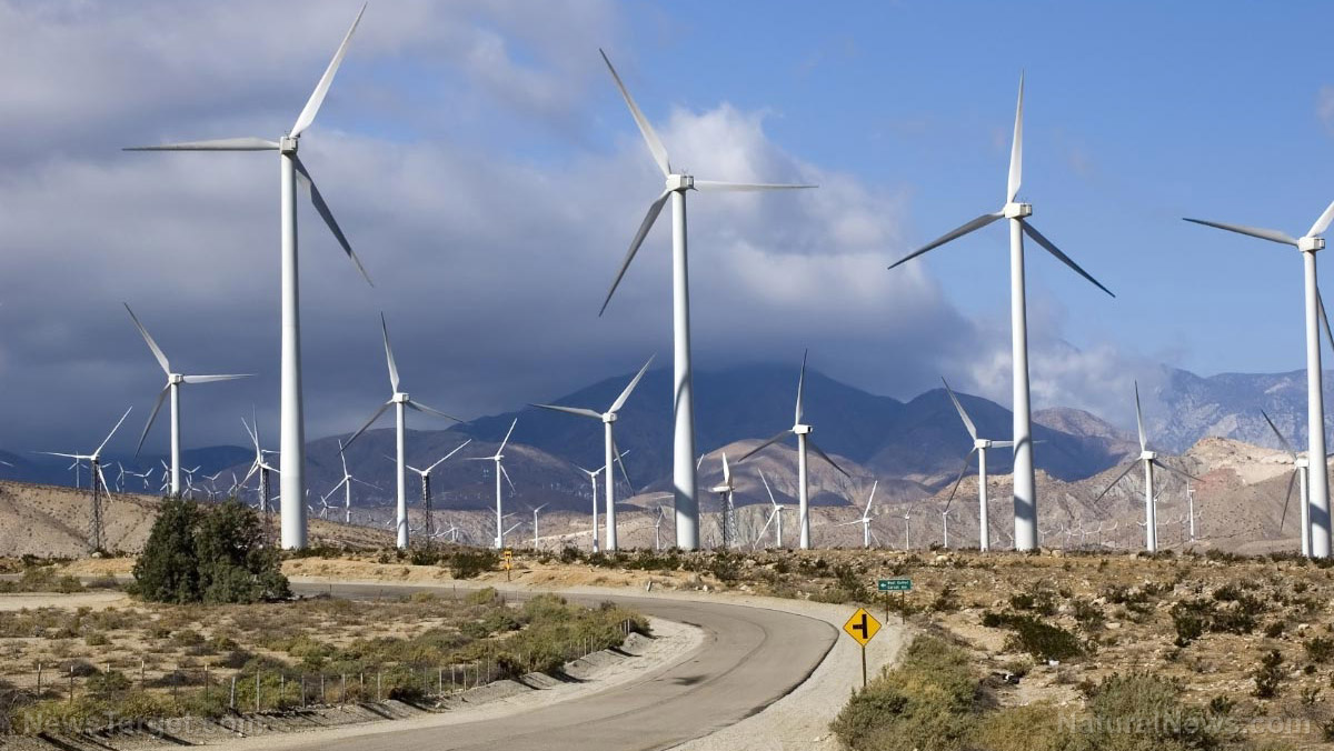 Wind energy expected to soon exceed hydro energy as the largest renewable source of electricity generation