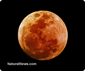 Did you miss the lunar trifecta at the end of January? Catch the blood moon lunar eclipse re-run next year