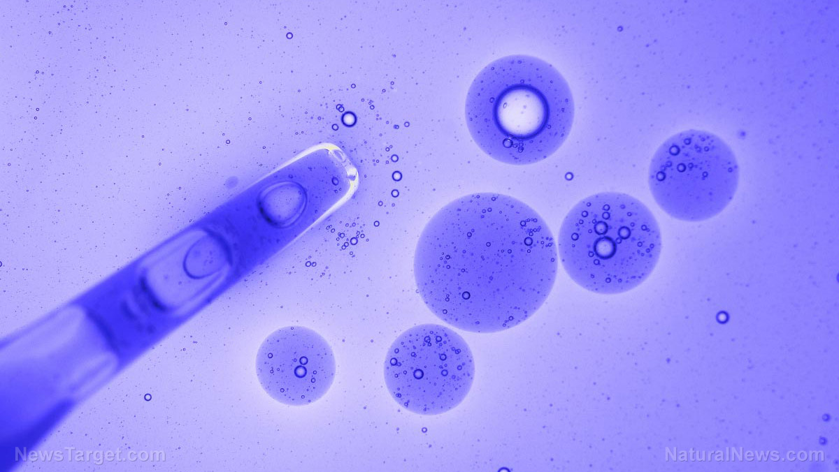 Cryogenically frozen organisms brought back to life by scientists