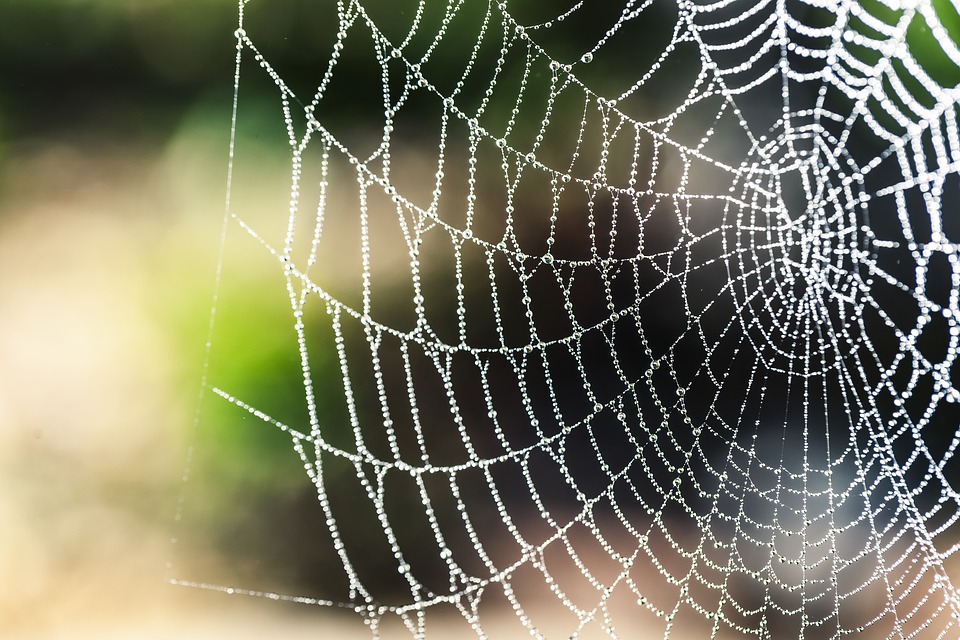 Spider silk is so strong that researchers can use it to improve the performance of piezoelectric nanogenerators