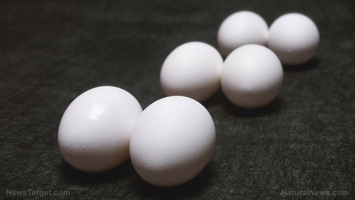 Could eggshell membranes be the next great biomaterial for harvesting green energy?