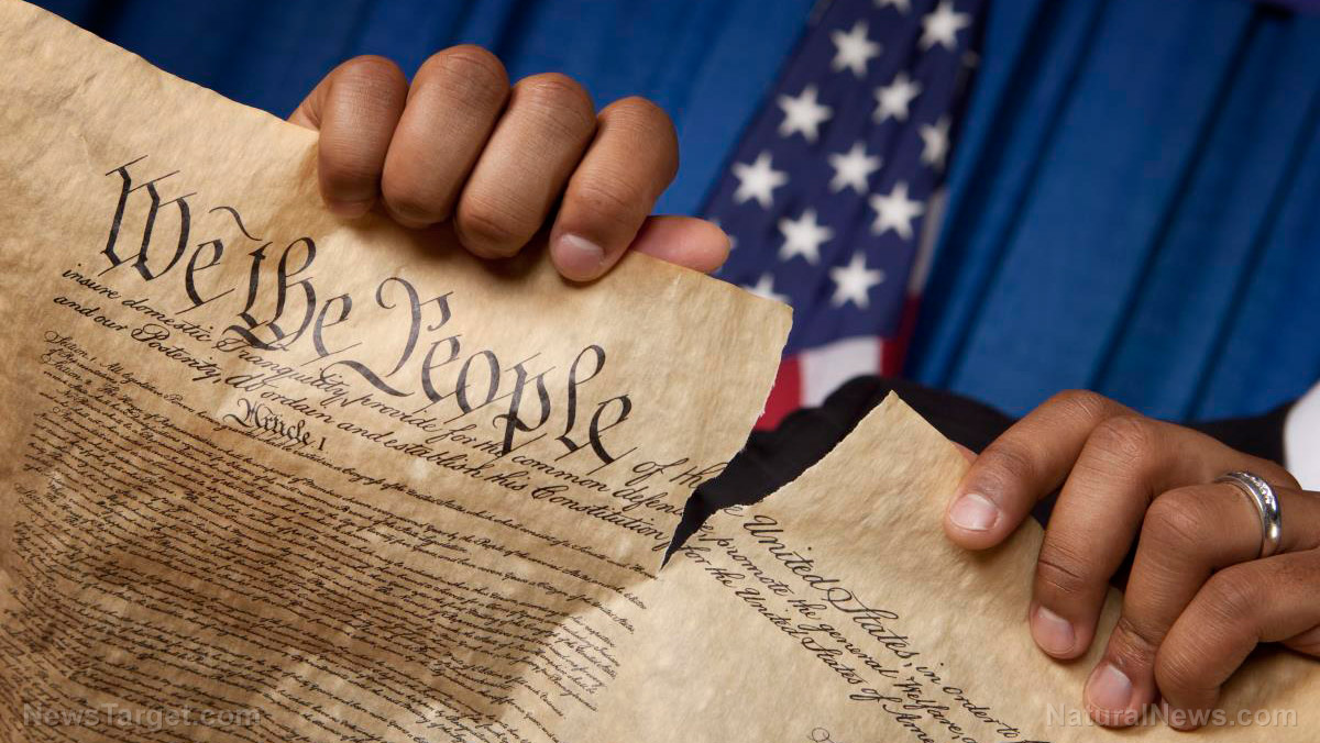 ACLU, SPLC must be prosecuted for “sabotaging a constitutional republic,” warns author